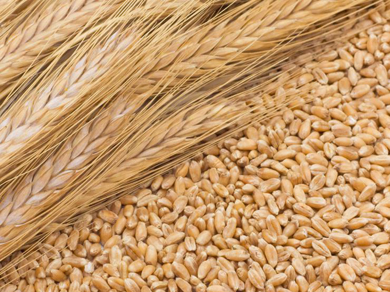 糧食重金屬檢測儀可以檢測糧食制品嗎？