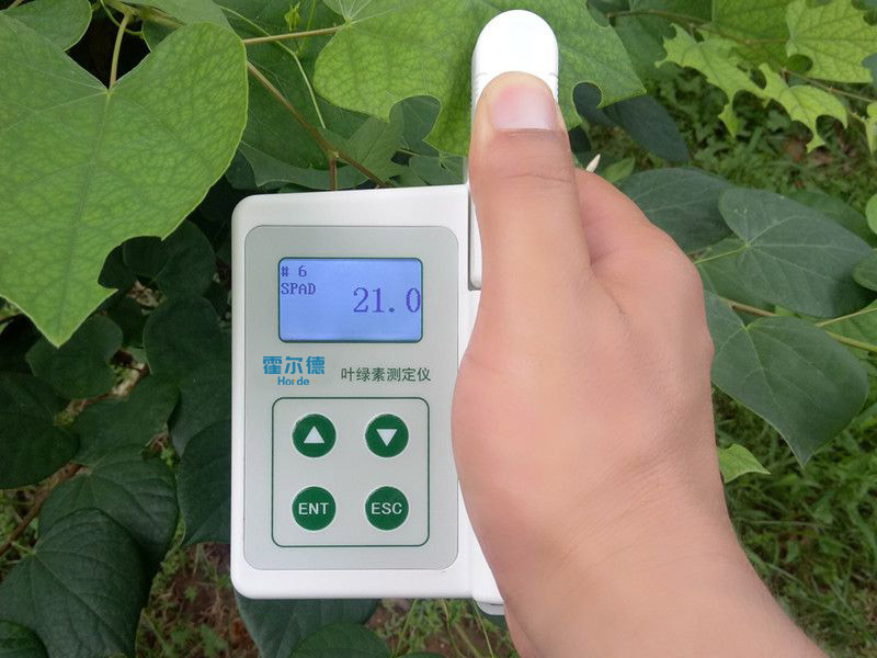 葉綠素含量測定儀具備哪些功能特點(diǎn)
