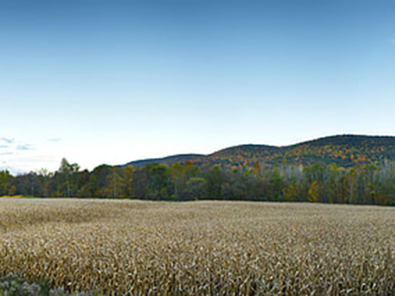 測定植物的營養(yǎng)，為農(nóng)戶取得更大效益