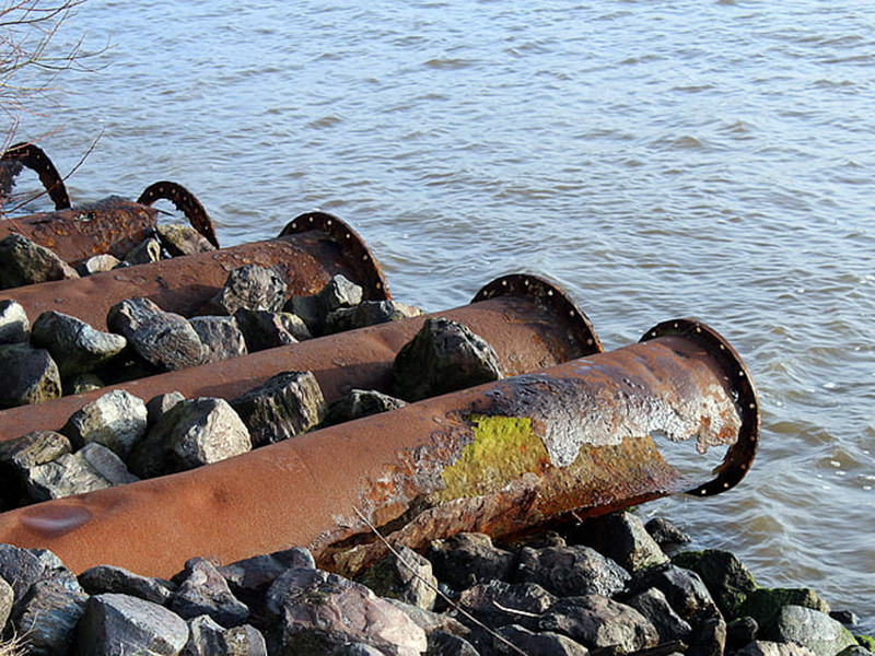 水質(zhì)生物毒性在線分析儀具備哪些特點？