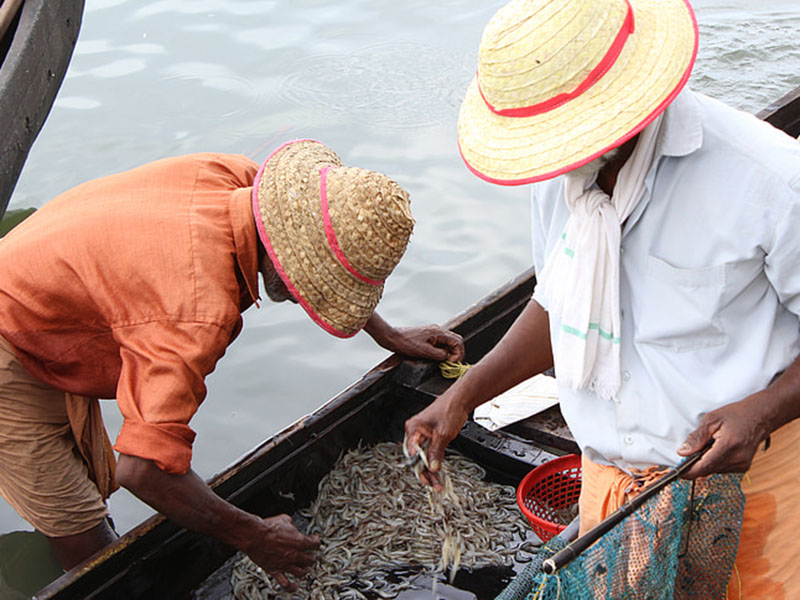 水產(chǎn)養(yǎng)殖業(yè)檢測水質(zhì)的儀器是哪款