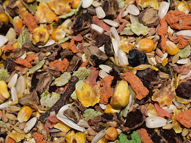 真菌毒素檢測(cè)方法