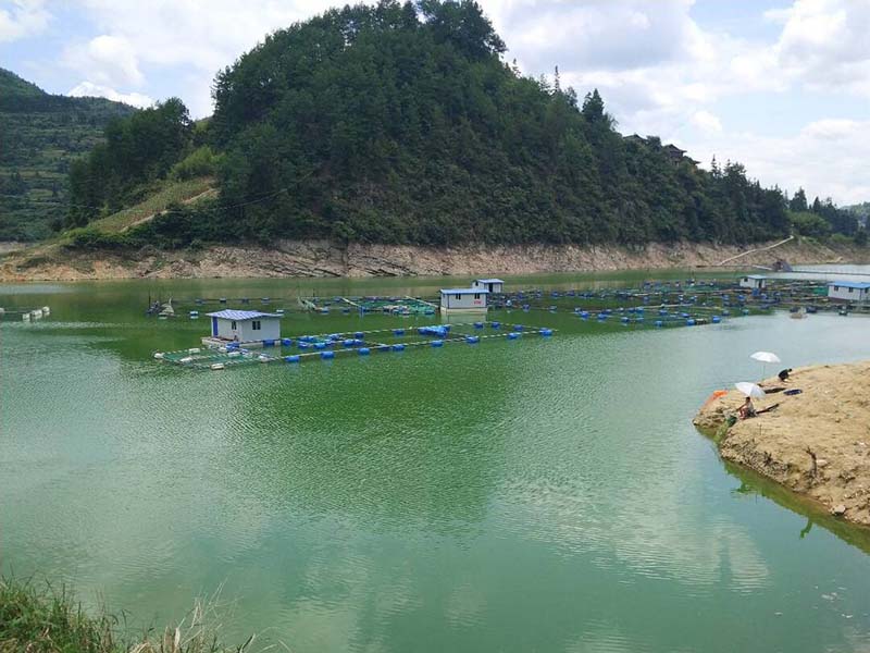 怎么快速去除氨氮-氨氮超標(biāo)的解決方法