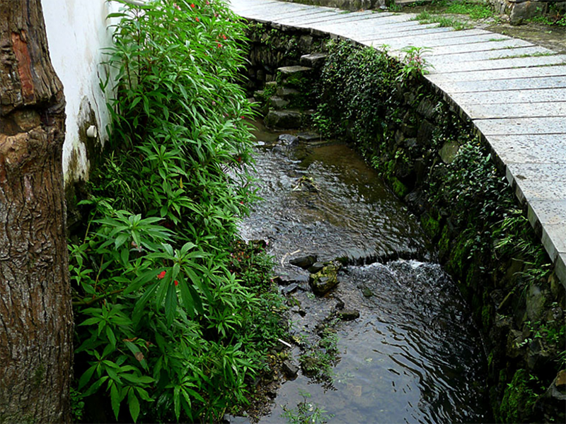 水質(zhì) 水質(zhì)