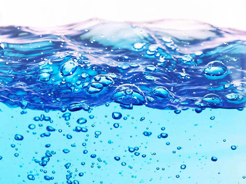 海洋生物水質(zhì)基準(zhǔn)推導(dǎo)技術(shù)指南解讀 海洋生物水質(zhì)基準(zhǔn)推導(dǎo)技術(shù)指南解讀