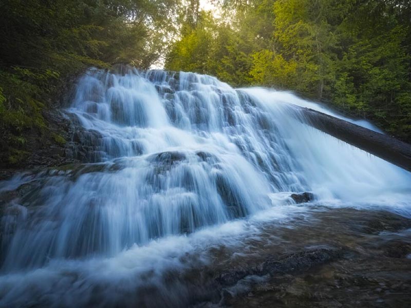 水質(zhì)生物毒性檢測(cè)儀應(yīng)用的必要性