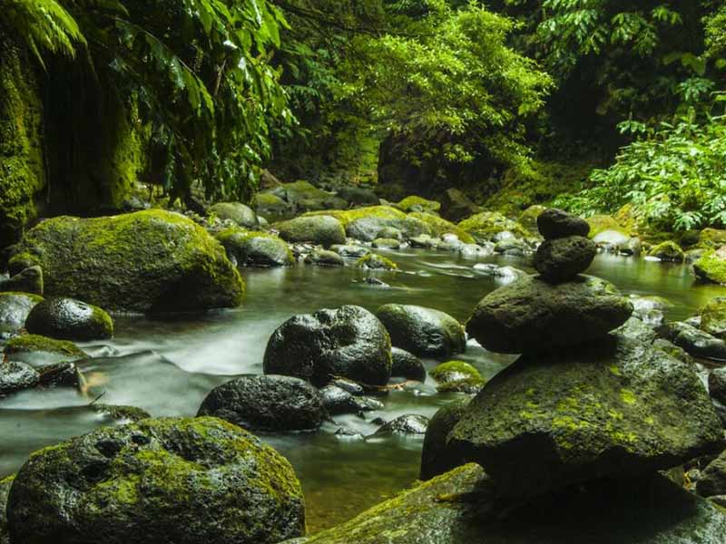 地表水葉綠素a測定儀原理