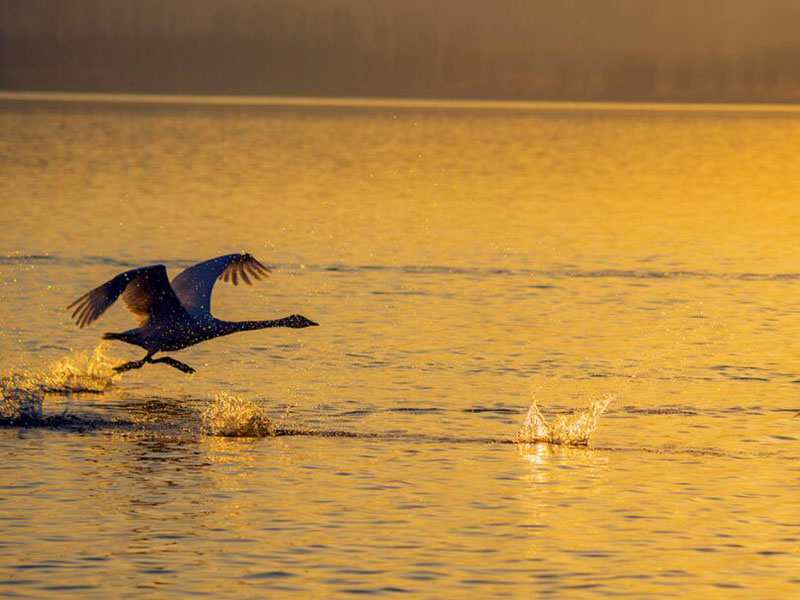 水產(chǎn)養(yǎng)殖水質(zhì)檢測(cè)儀說明書