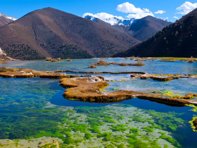 《鹽堿地水產(chǎn)養(yǎng)殖用水水質(zhì)》正式實施