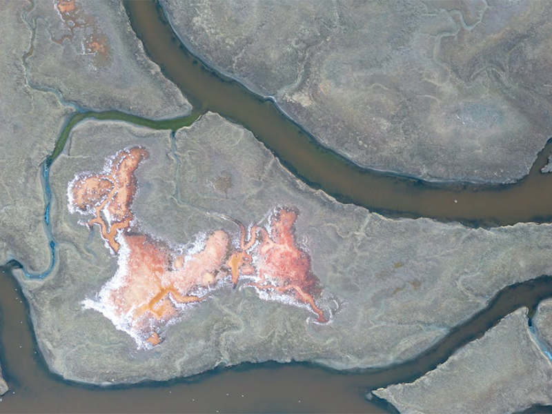 水質(zhì)亞氯酸鹽檢測儀應(yīng)用場景