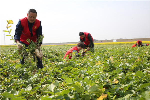 土壤養(yǎng)分速測(cè)儀助力農(nóng)貿(mào)開展科學(xué)施肥