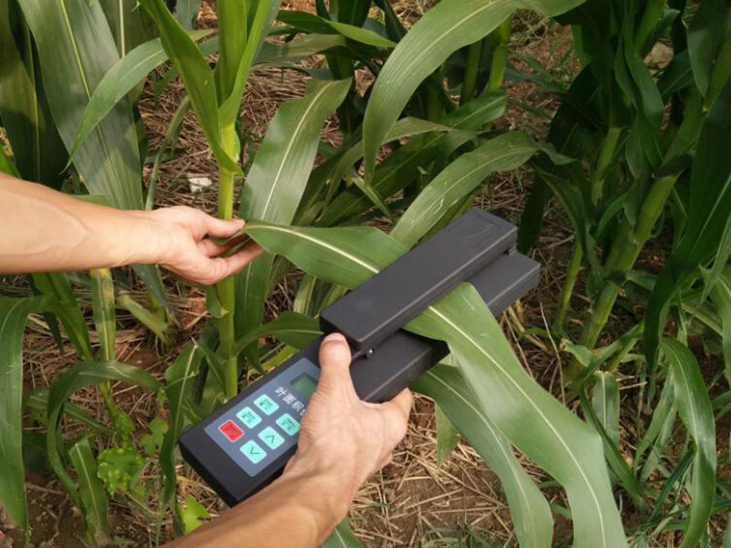 1618971122798508.jpg 38.jpg