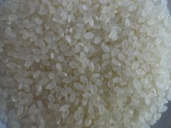 大米重金屬鎘檢測儀，可對樣品進(jìn)行快速檢測