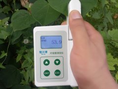 怎樣檢測(cè)活體植物的葉綠素含量？