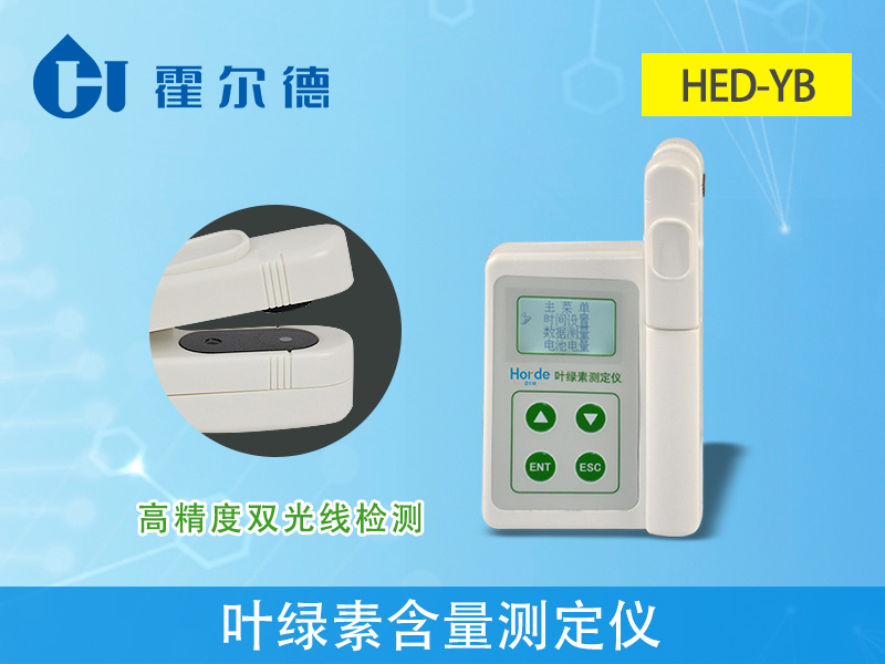 葉綠素含量會(huì)影響植物生長(zhǎng)嗎 葉綠素含量會(huì)影響植物生長(zhǎng)嗎